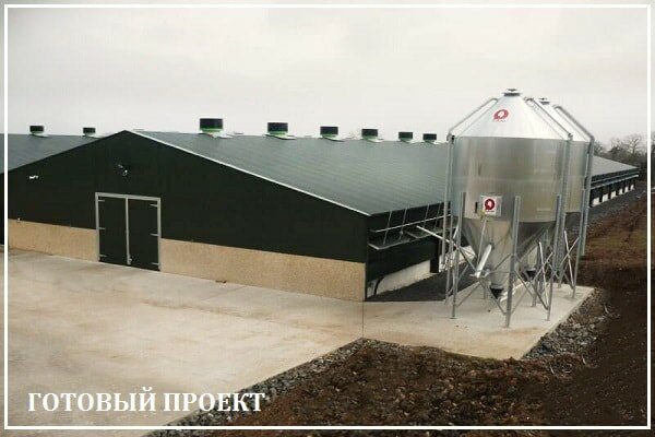 Этапы возведения птицефабрики от завода ВелесТент-рсв